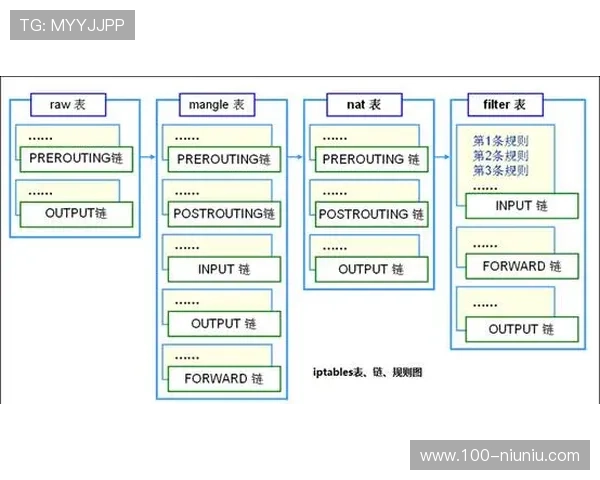 深入解析吉祥体育平台的优势与用户反馈