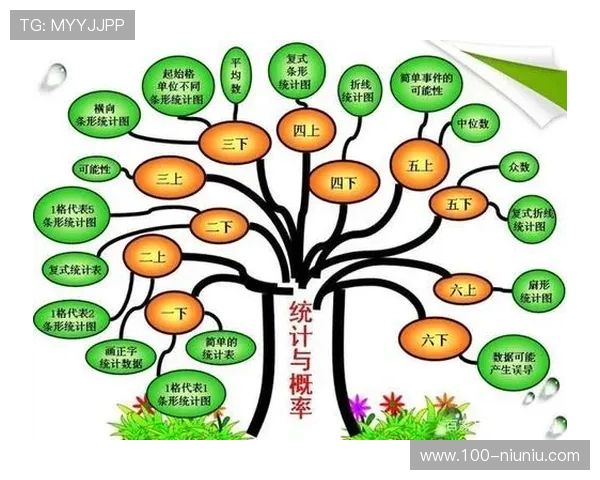 彩票开奖顺序背后的随机性与公正机制解析